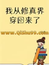 我从修真界穿回来了小说