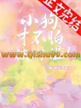 小狗才不怕被淋湿！小说