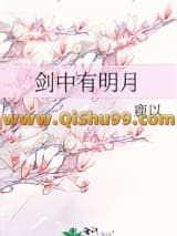 剑中有明月小说