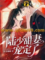 陆少甜妻宠定了小说
