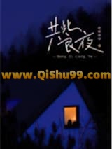 共此良夜小说