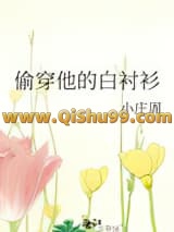 偷穿他的白衬衫小说
