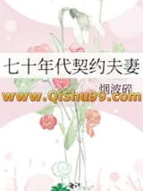 七十年代契约夫妻小说