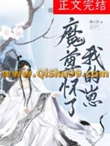 魔尊怀了我的崽小说