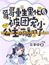 哥哥重生黑化后，被团宠小公主萌翻了！小说