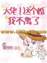 大佬，这个婚我不离了[年代]小说