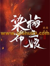 染布梅三娘小说