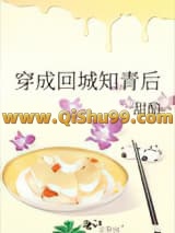 穿成回城知青后小说
