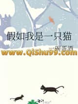 假如我是一只猫小说