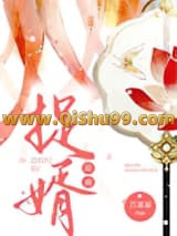 捉婿小说