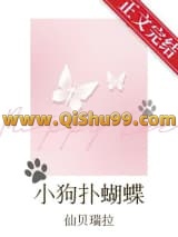小狗扑蝴蝶小说