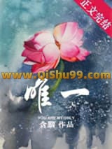 唯一小说