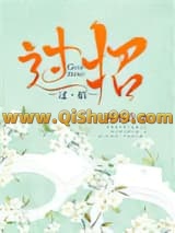 过招小说