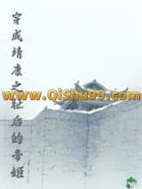 穿成靖康之耻后的帝姬小说