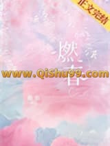 燃春小说