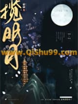 揽明月小说