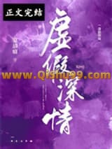 虚假深情小说