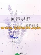 闻声寻野小说