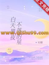 白天黑夜不落的星小说