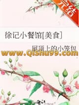 徐记小餐馆[美食］小说