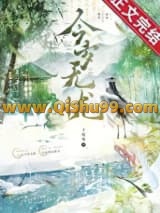今岁无忧小说