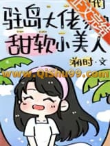 驻岛大佬家的甜软小美人[年代]小说