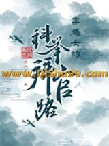 穿越女的科举拜官路小说