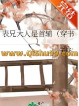 表兄大人是首辅（穿书）小说