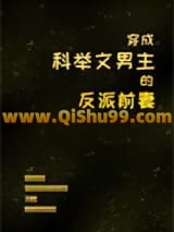 穿成科举文男主的反派前妻小说