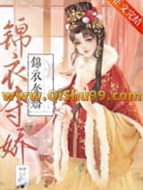 锦衣夺娇小说