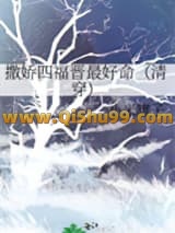 撒娇四福晋最好命（清穿）小说
