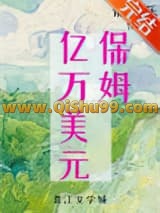 九零亿万美元保姆小说