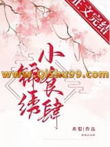 锦绣小食肆小说