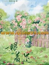 一眼着迷小说