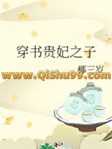 穿书贵妃之子小说