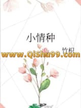 小情种小说