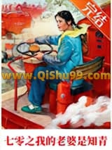 七零之我的老婆是知青小说