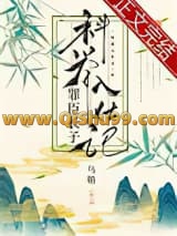 罪臣长子科举入仕记小说