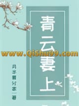 青云妻上小说
