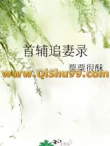 首辅追妻录小说