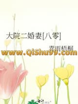 大院二婚妻[八零]小说