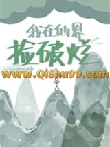 我在仙界捡破烂小说