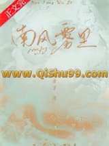 南风雾里小说