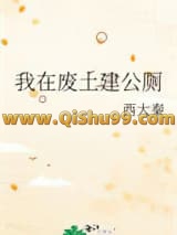 我在废土建公厕小说