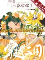 穿越三国之小乔初嫁了小说