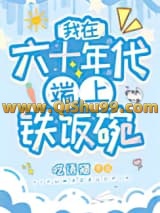 我在六十年代端上铁饭碗小说