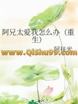 阿兄太爱我怎么办（重生）小说