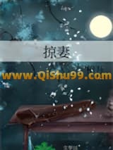 掠妻小说