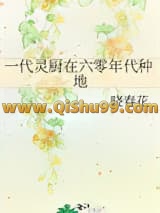 一代灵厨在六零年代种地小说