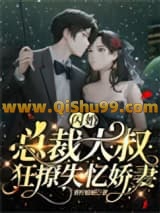 闪婚，总裁大叔狂撩失忆娇妻小说